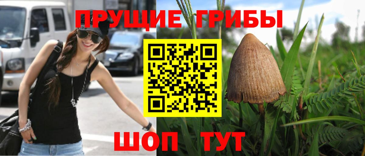 Находка  Галлюциногенные грибы MAGIC MUSHROOMS  Вход с VPN  купить наркоту  Псилоцибиновые грибы Cubensis 